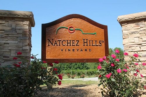 Book a car for a wine tour at Natchez Hills Vineyard in Nashville, Tennessee.