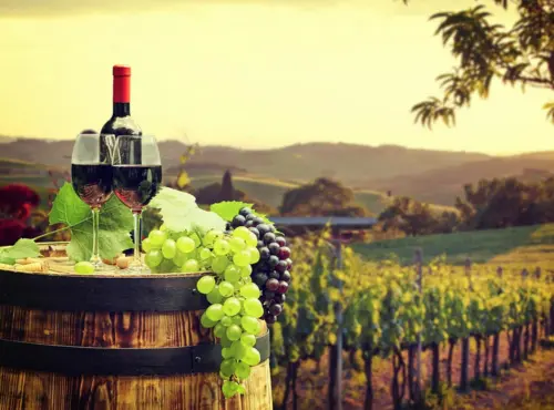 Two wine glasses and grapes on a barrel in a vineyard, showcasing the beauty and craftsmanship of the transportation service.