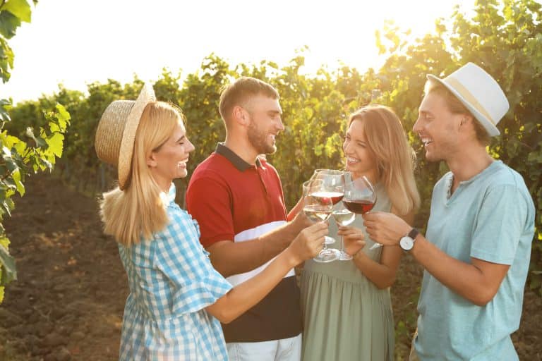 Wine Tours